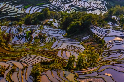 📍 Yuanyang Rice Terraces - Mustsee.earth